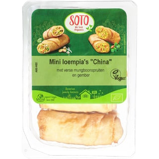 Mini Loempia's China