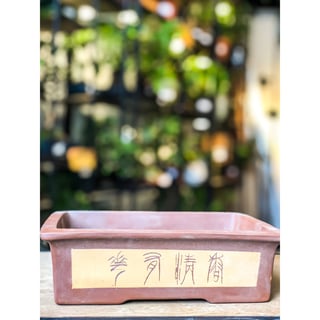 Bonsai Pot - Chinese Calligraphy  High Quality Ceramic