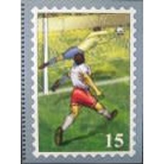 Insteekboek Voetbal 15
