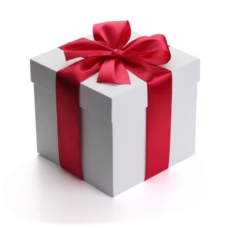 Plumule American Christmas Present Box