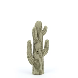 Amuseable Cactus Small