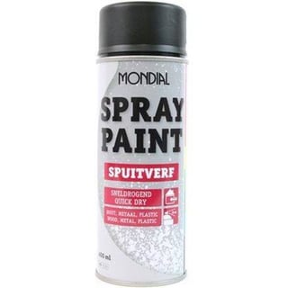 Spray Paint Ral 9005 Mat Zwart
