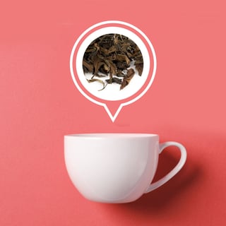 Dutch White Tea Leaves