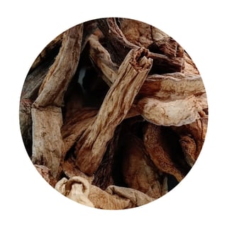 Eekhoorntjesbrood - 20 gram