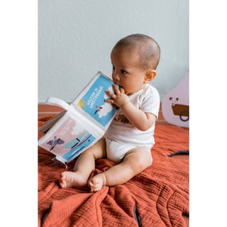 Amsterdam baby book soft