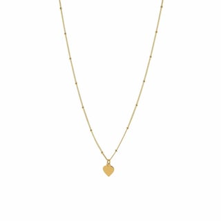 Silver Necklace with Heart - Sterling Silver / Gold Plated