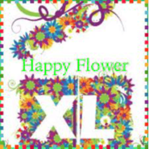 The Happy Flower XL