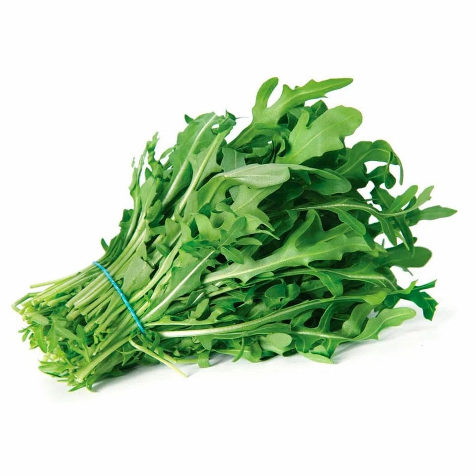 Rucula