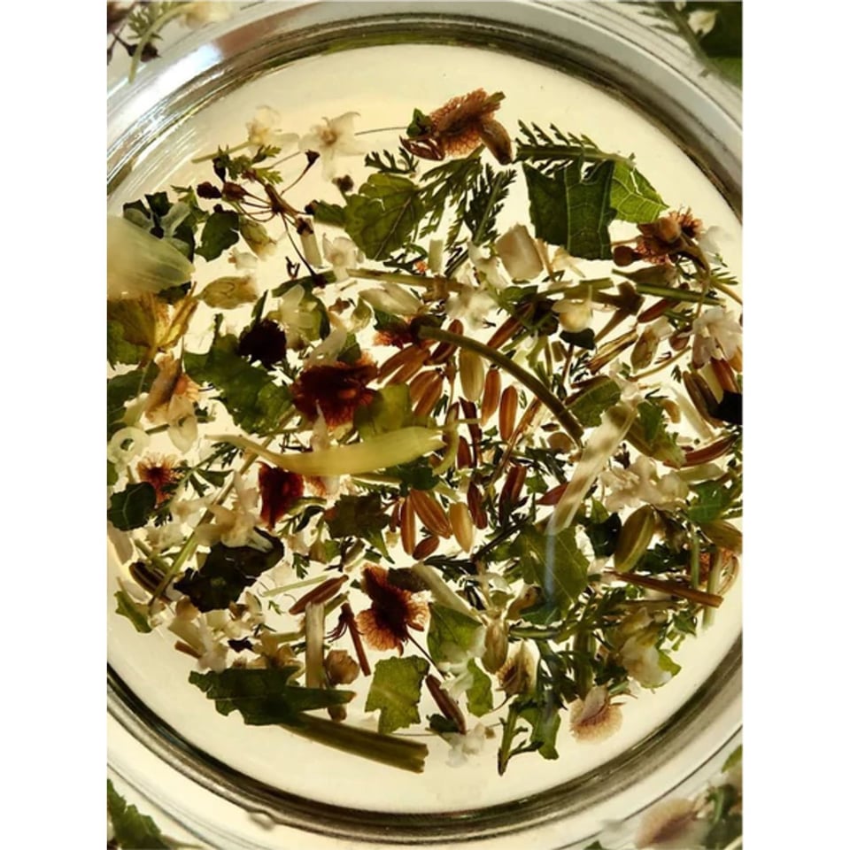 Wilder Land Offline Blend