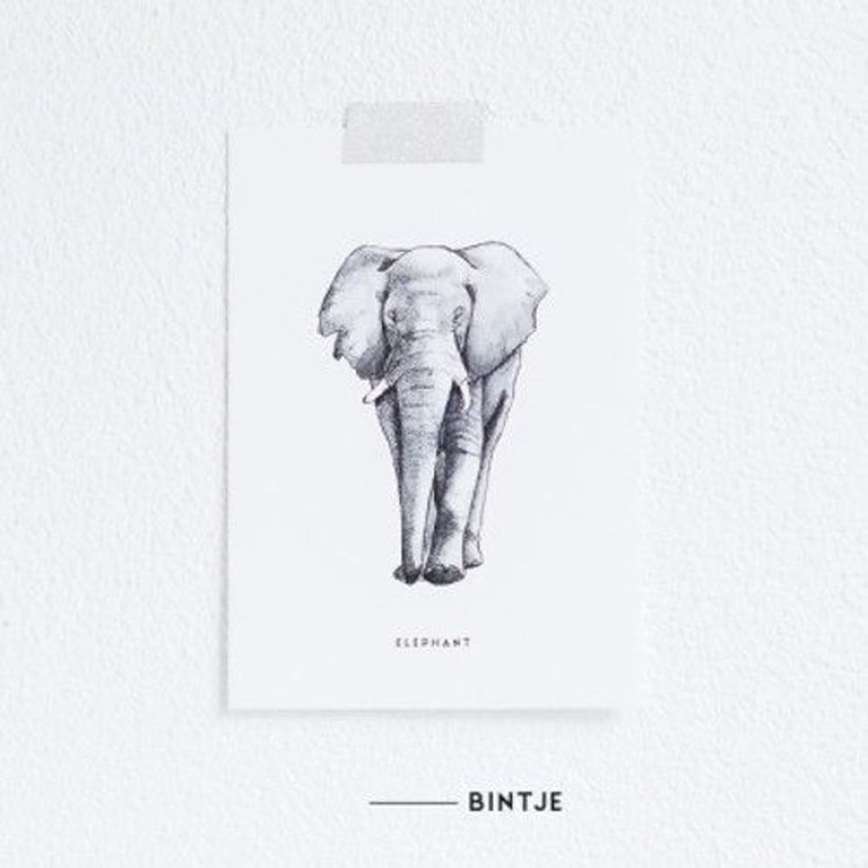 Kaart Olifant