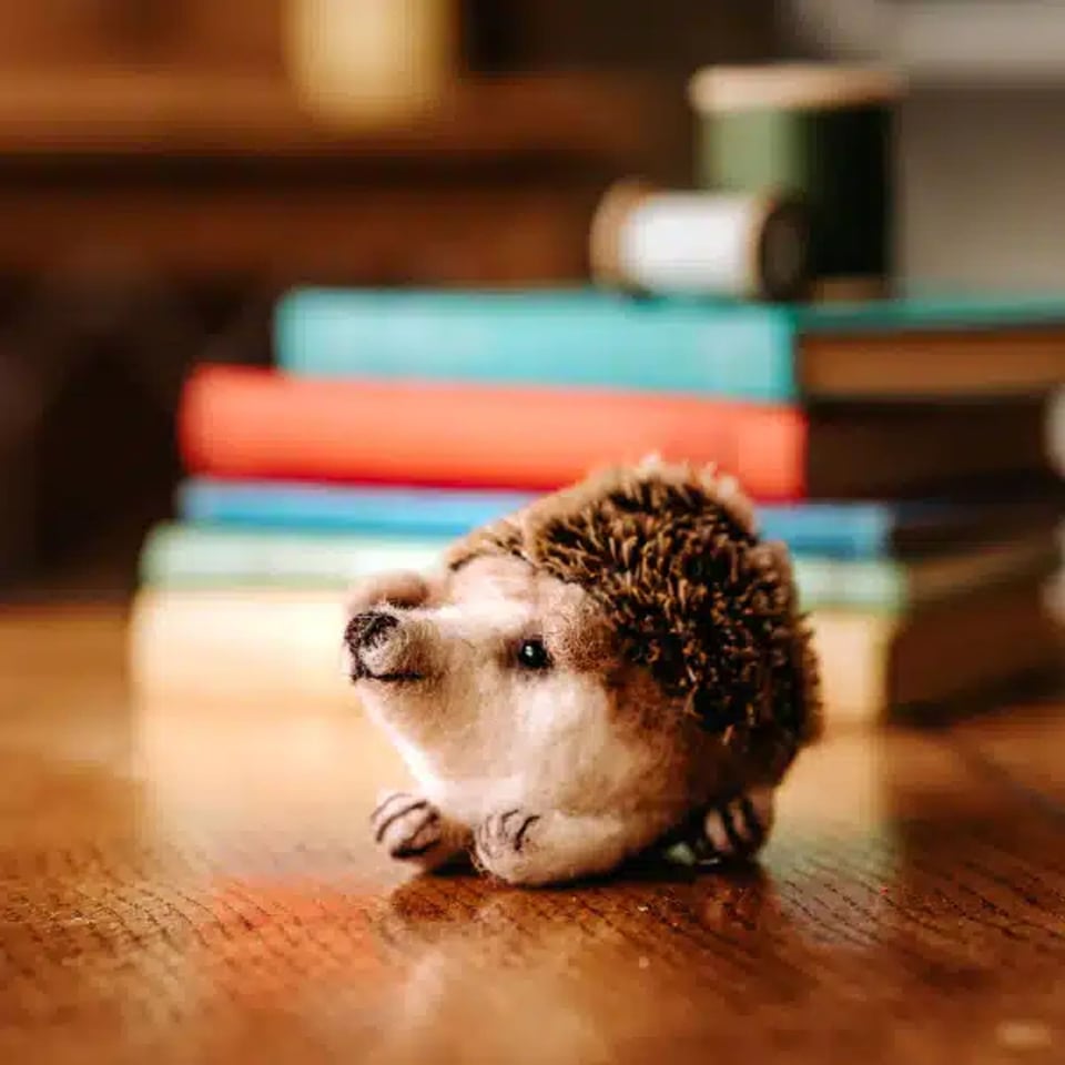 Baby Egel Naaldvilten Knutselset