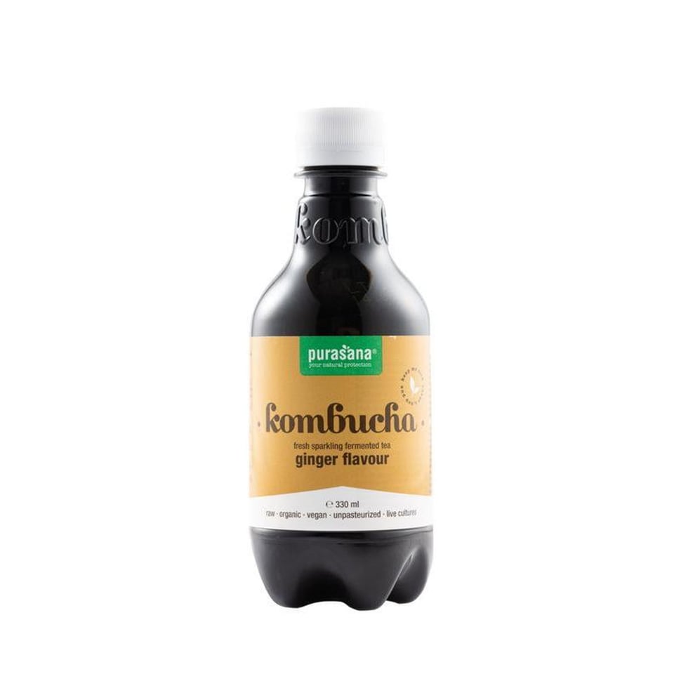 Kombucha Drink Gember