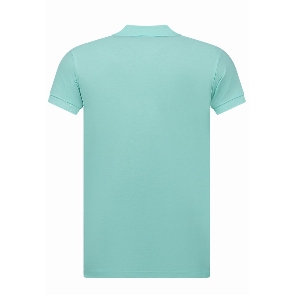 Polo Heren - Poloshirts Heren Korte Mouw - Herenpolo - Slim Fit - A150 - Mint Groen