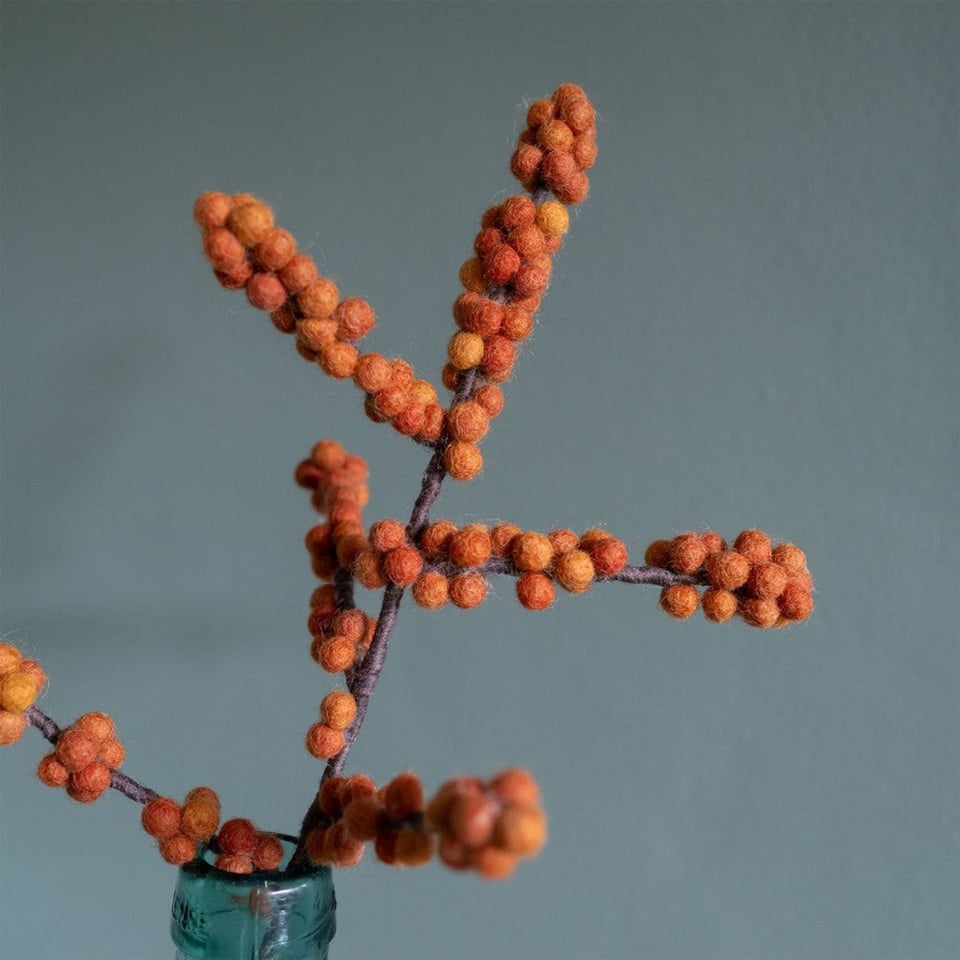 Tak bes ilex oranje