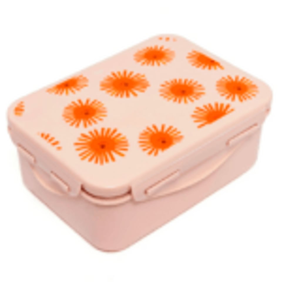 Petit Monkey Lunchbox Sunny