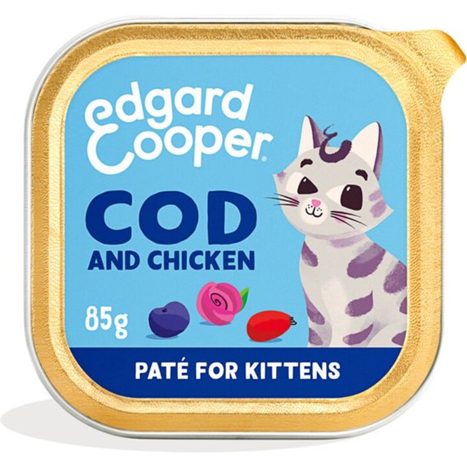 Cat Paté Kitten