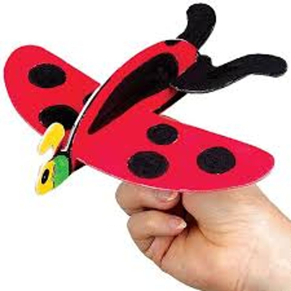 Insecten Gliders (Zweef Insecten)