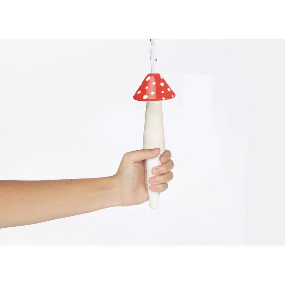 DOIY Zelf Waterende Paddestoel Amanita
