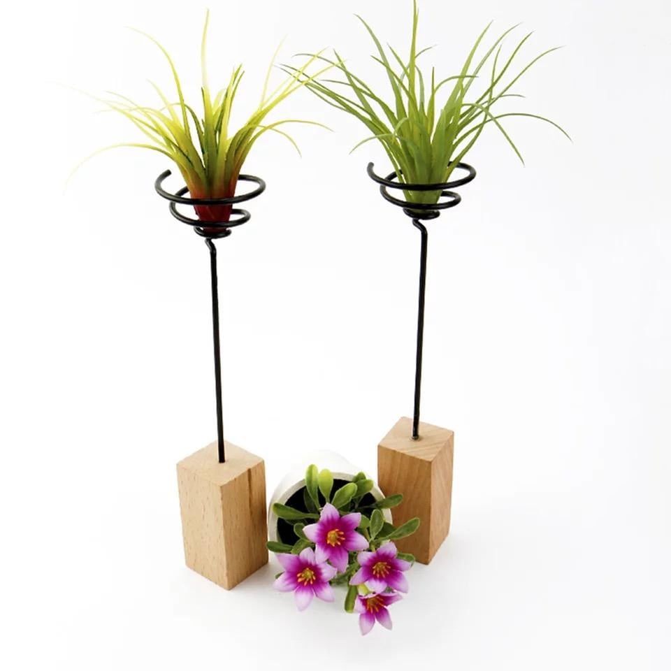 Wooden Air Plant Stand