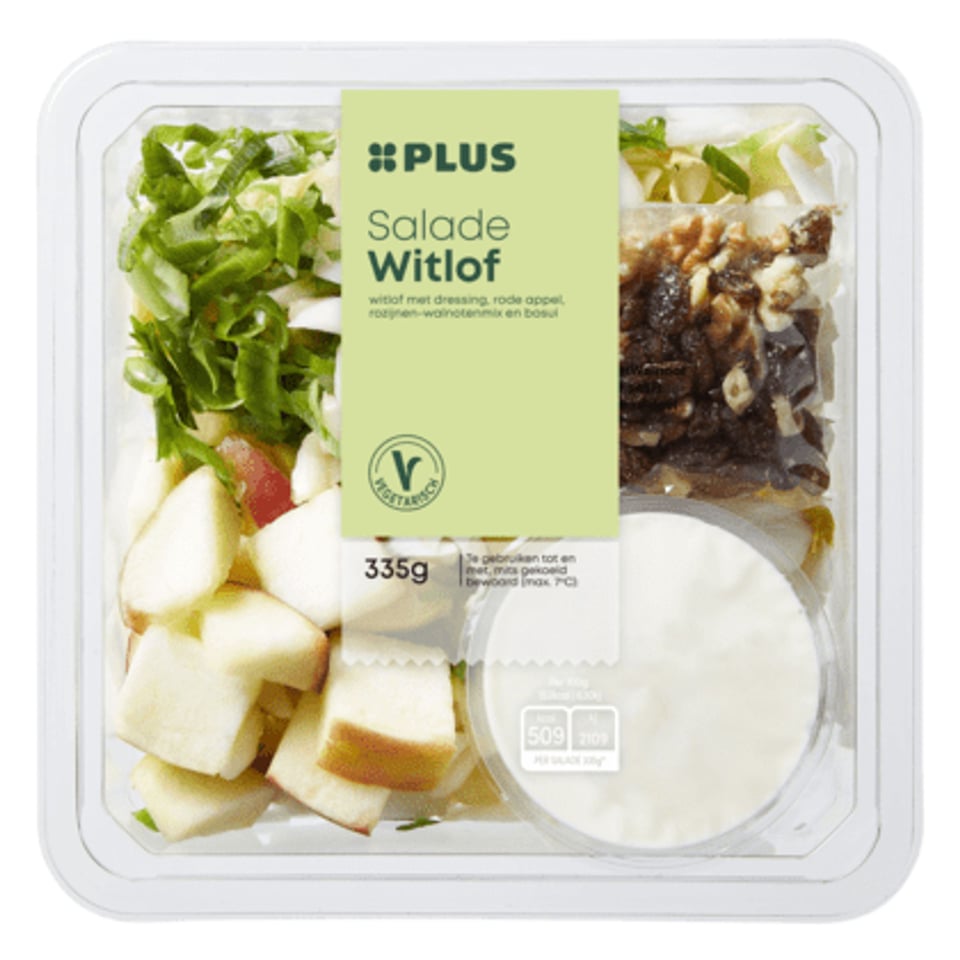PLUS Salade Witlof