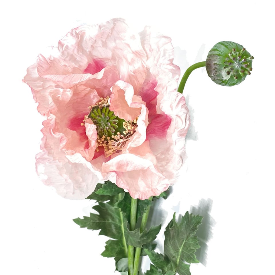 Kunstbloem Poppy Spray (Klaproos) Roze 102cm
