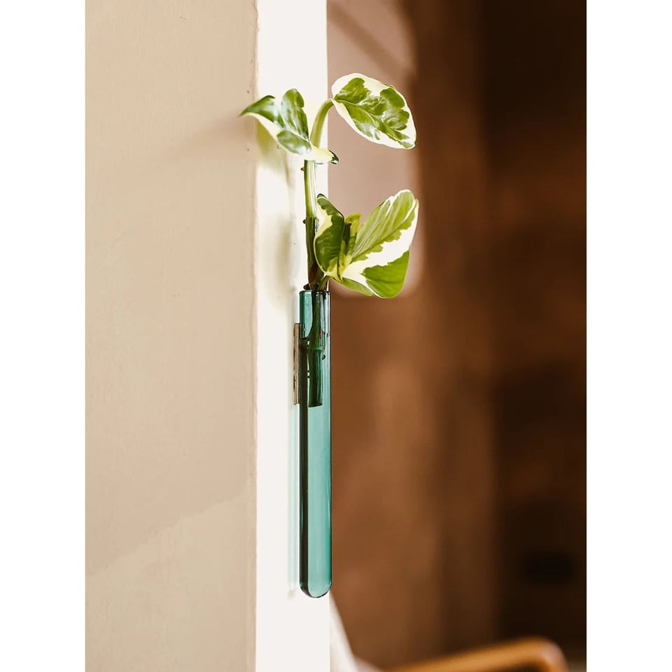 Muurbloempjes Vase (Wallfowers) Green