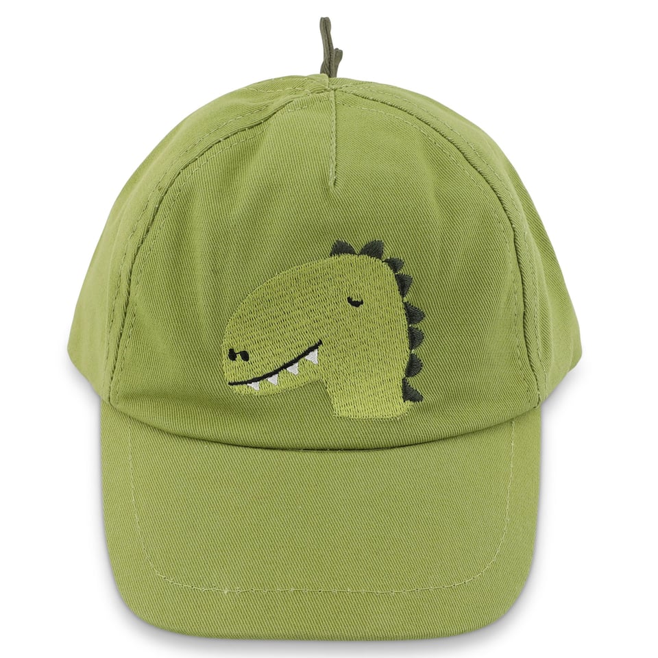 Cap Mr. Dino