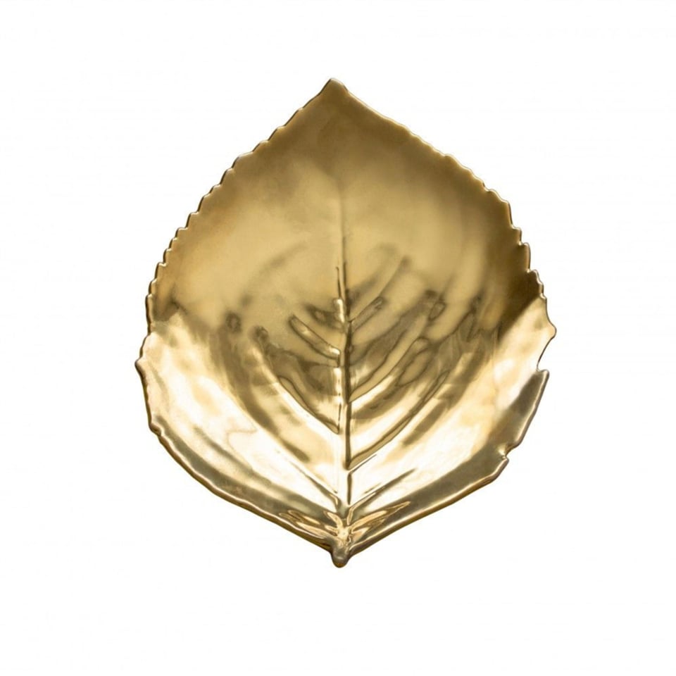 Costa Nova Gouden Bordje Hydrangea (Hortensia)