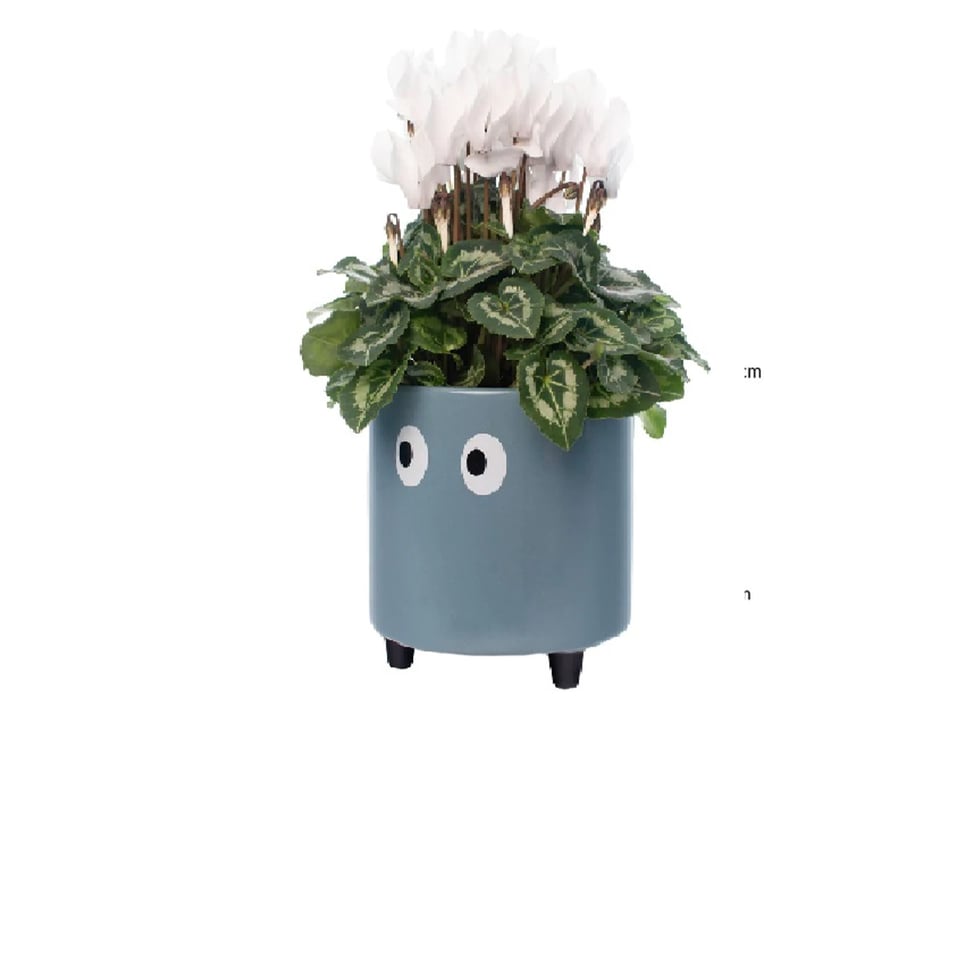 Fisura Ogen Plantenpot Blauw