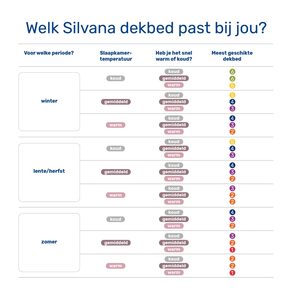 Silvana Excellent 4-Seizoenen 100% Ganzendons Dekbed Rood en Blauw