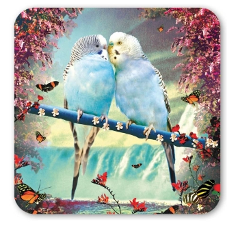 Max Hernn Coaster - Budgies Couple - Parkieten