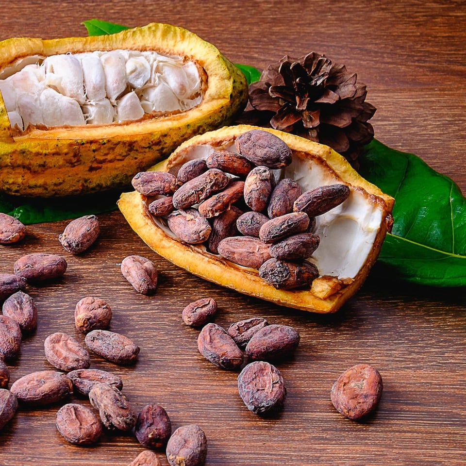 Cacao Nibs Raw Organic