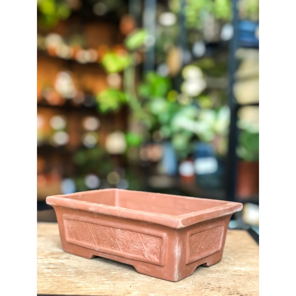 Bonsai Pot - Unique side patterns  High Quality Ceramic