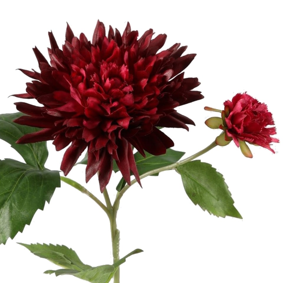 Kunstbloem Dahlia Sonic Bordeaux 2 Bloemen 65cm