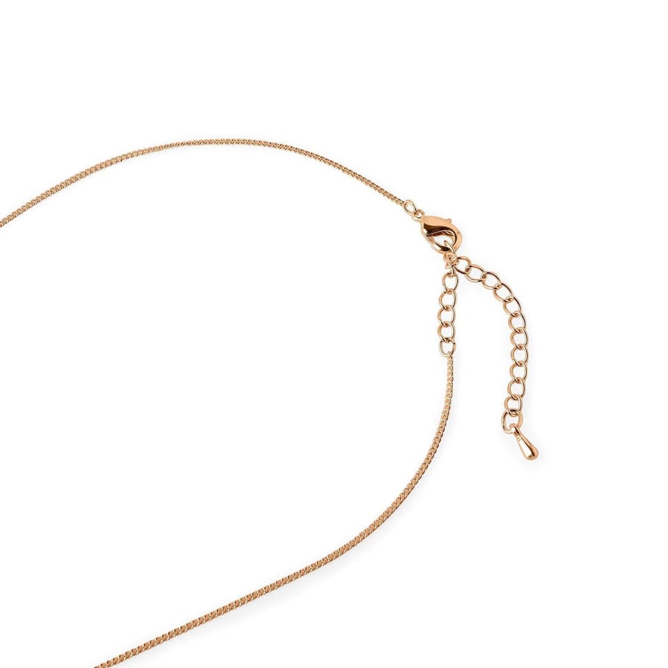 Rose Gold Plated Necklace with Double Star