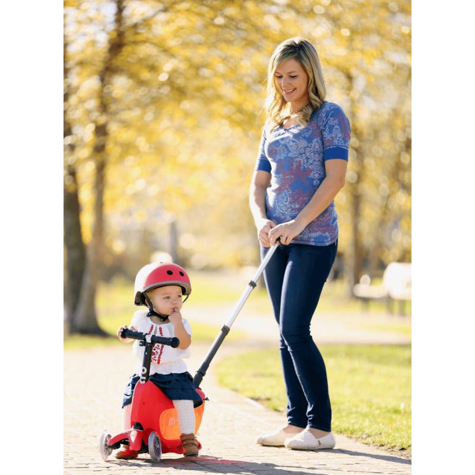 X Micro Mini2go Deluxe Push Rood