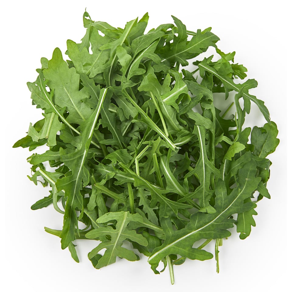 Rucola Klein