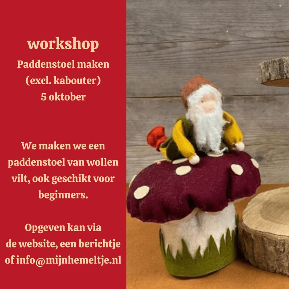 Workshop Paddenstoel 5 Oktober 2024