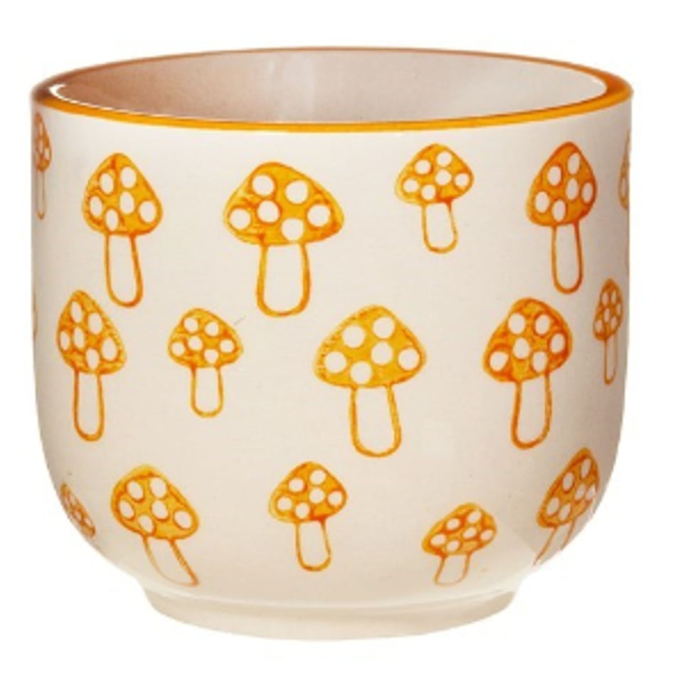 Bloempot Paddenstoel Mix