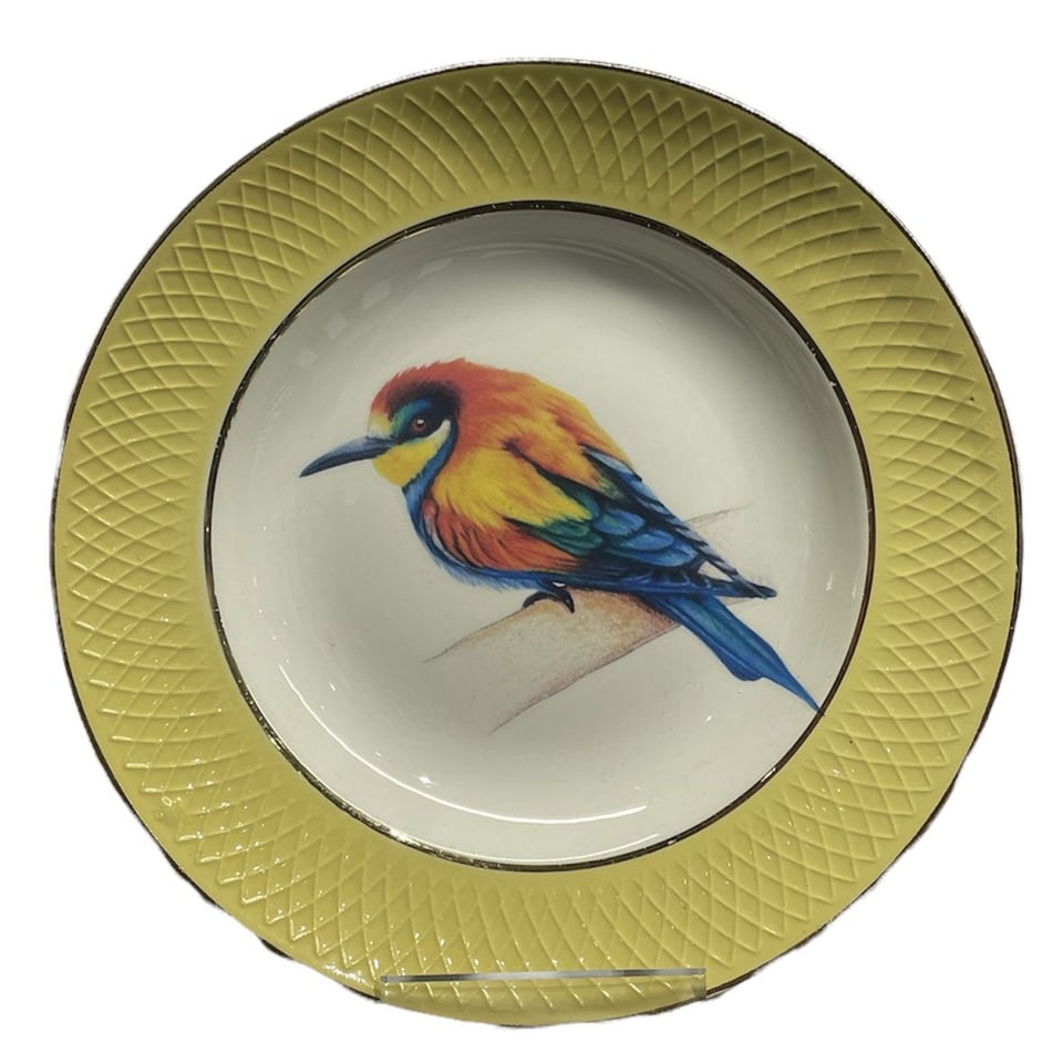 Bord Vogels Met Gele Rand