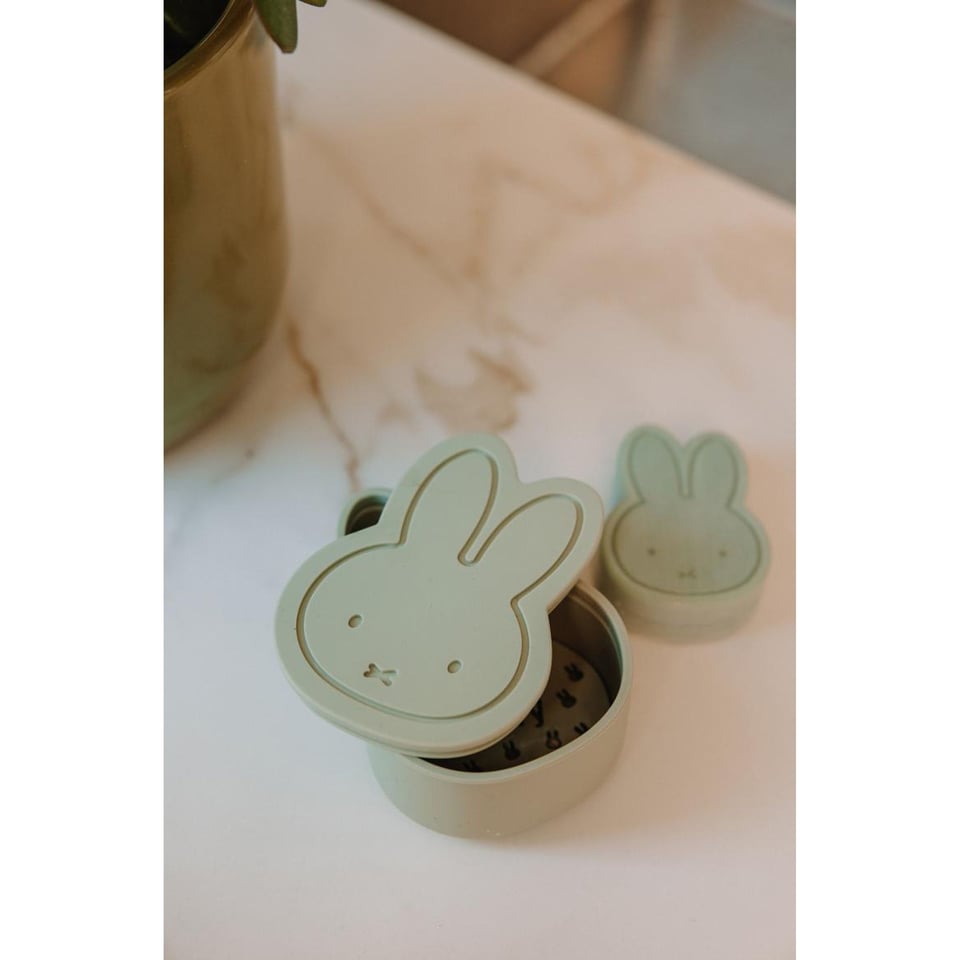 Atelier PierreNijntje Silicone Storage & Travel Doosje Eucalyptus