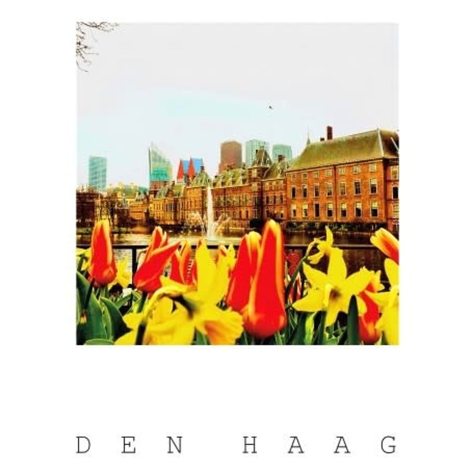 Postkaart - Den Haag - Hofvijver