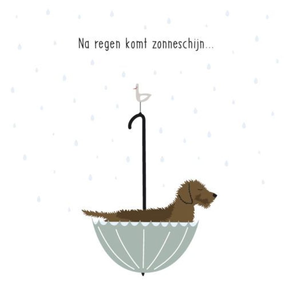 Wenskaarten - Frits