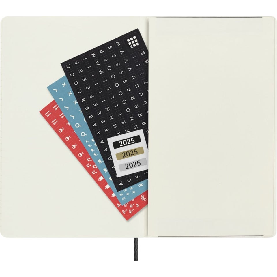 Moleskine 2025 diary softcover large week on 2 pages - black