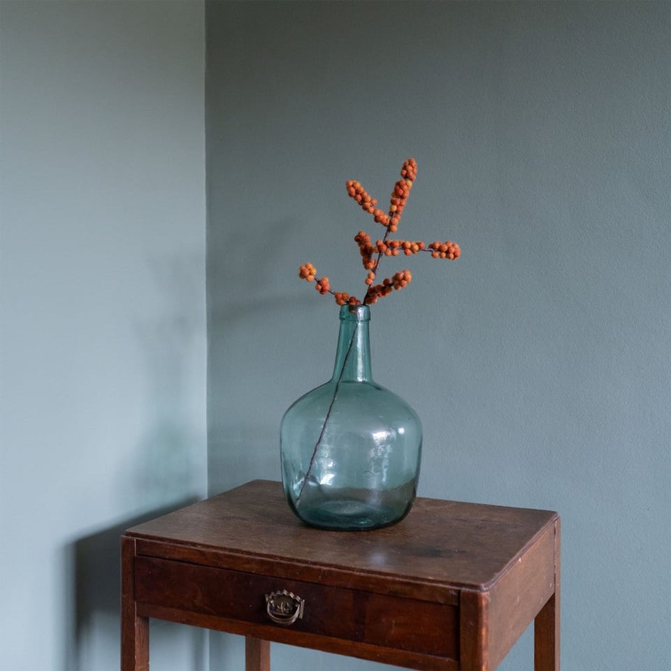 Tak bes ilex oranje