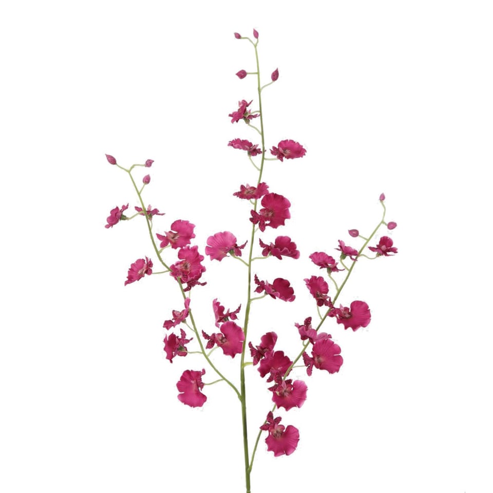 Kunstbloem Orchidee Paars Dancing Tak 80cm