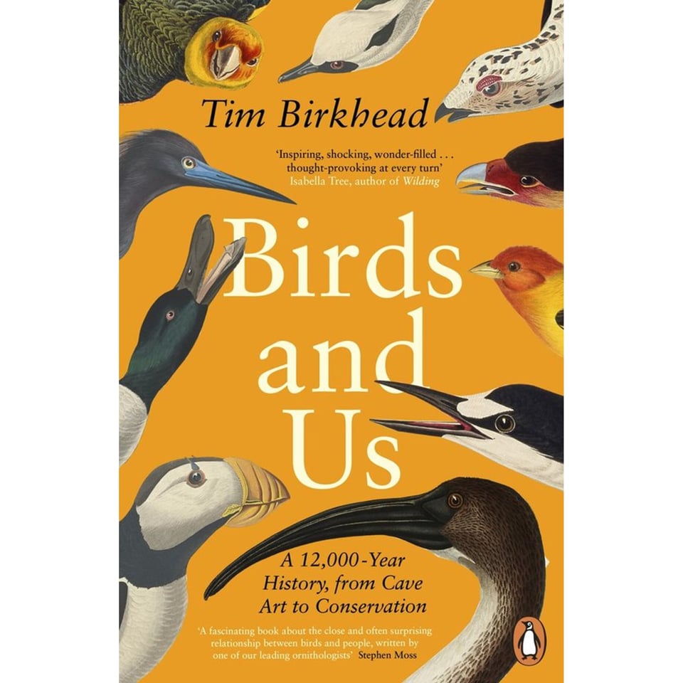 Birds And Us