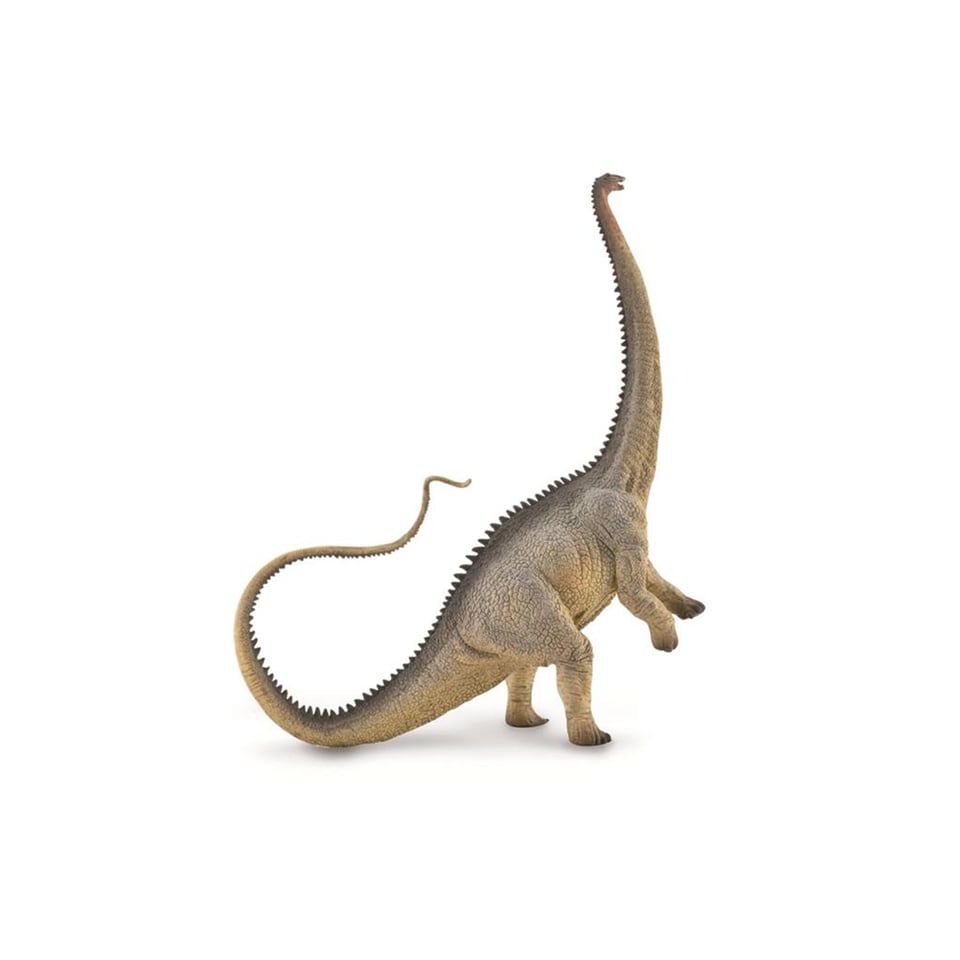 Collecta Prehistorie Diplodocus