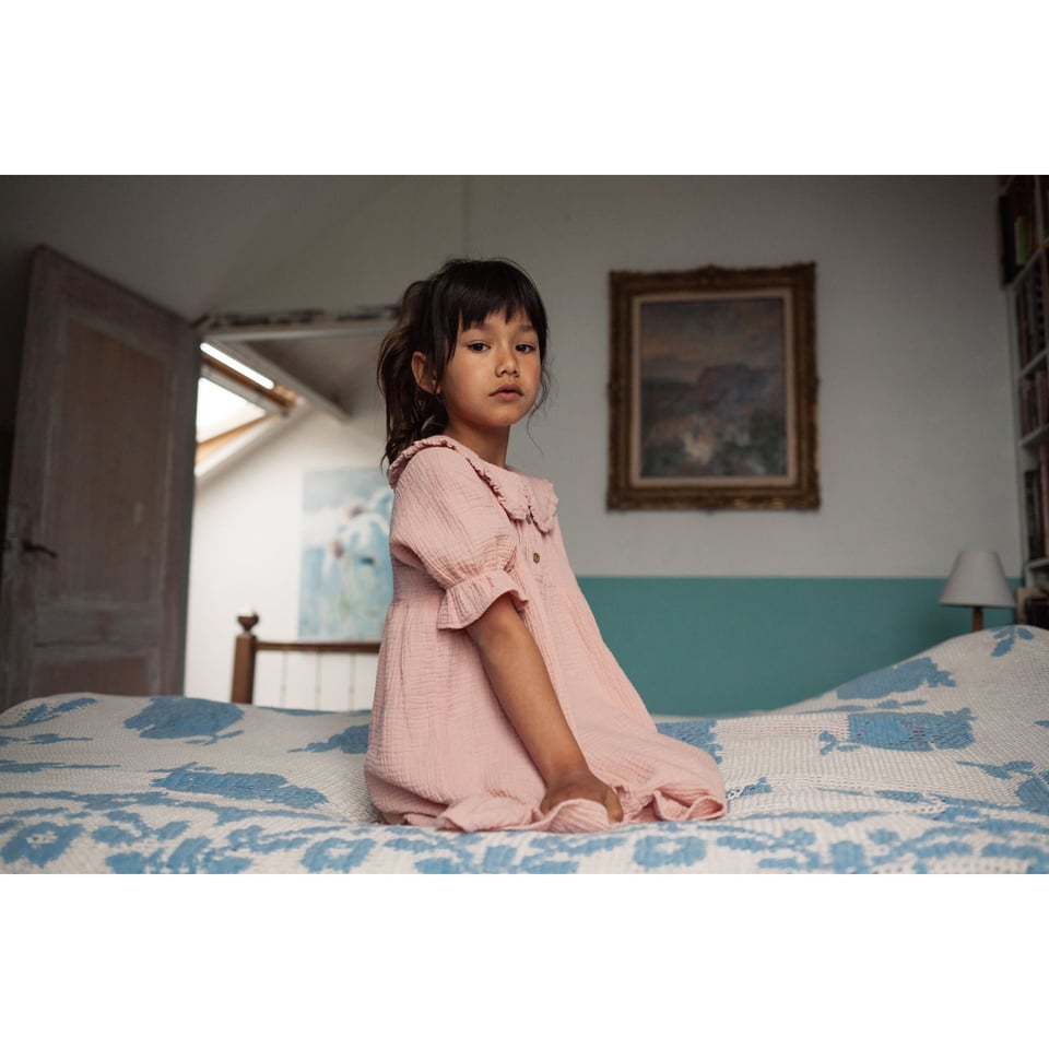 Daily Brat - Clementine Dress Pale Pink