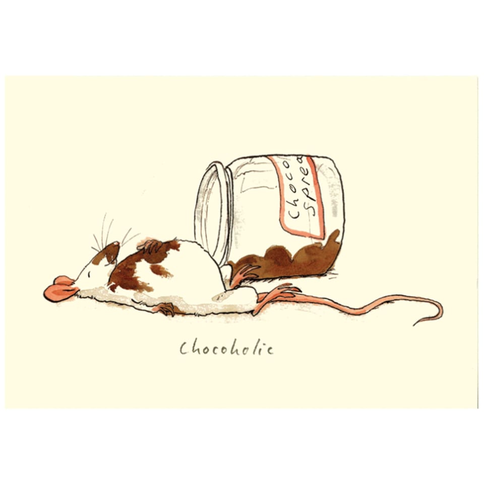 Two Bad Mice Anita Jeram Chocoholic